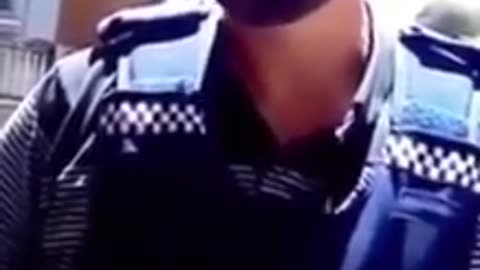 ZOG BOTS IN NEW ZEALAND