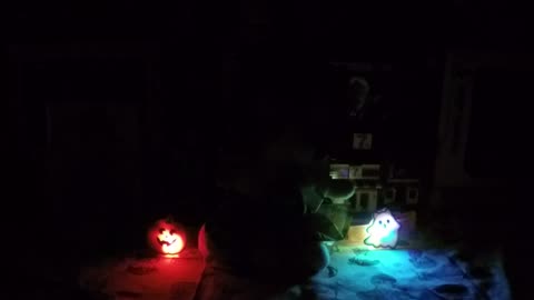 Halloween Flashing bracelets opening and demonstration