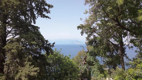 Excado Yolo Sunset Vibes