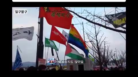 Flags at a rally to impeach South Korean President Yoon. Bolsheviks, Socialist Forward