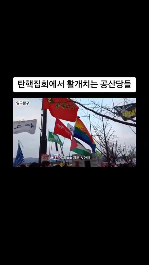 Flags at a rally to impeach South Korean President Yoon. Bolsheviks, Socialist Forward