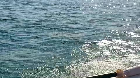 Paramotor with JetSki