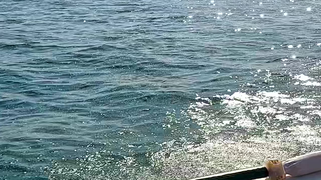 Paramotor with JetSki