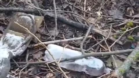 Ukraine war combat footage 2/28/25