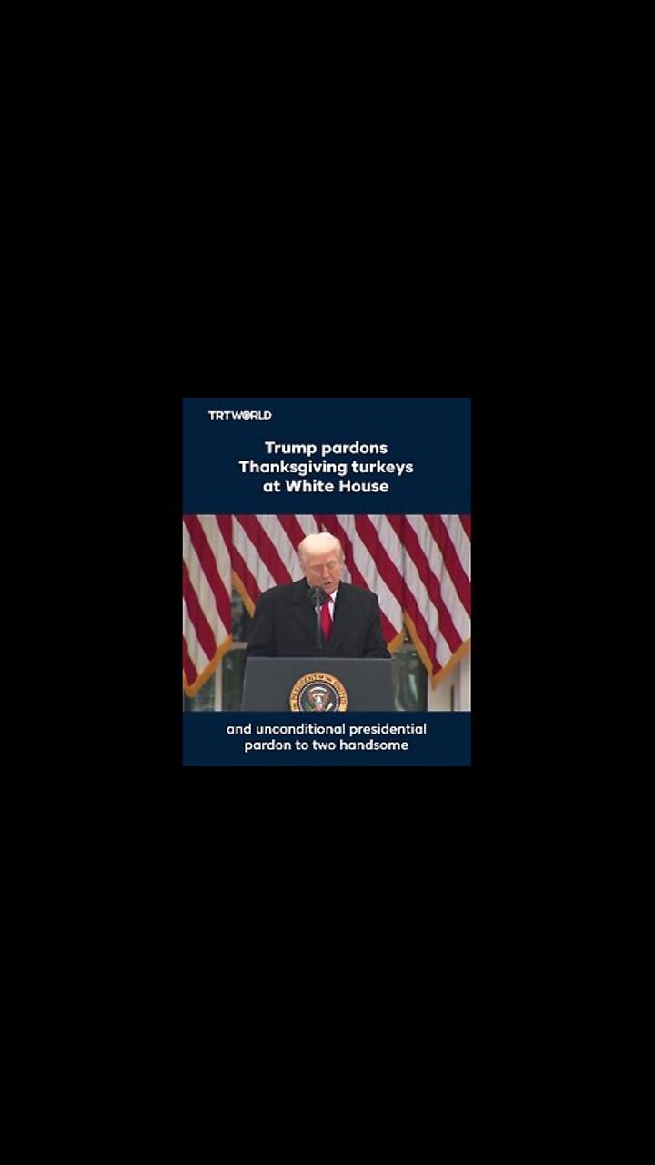 Turkeys Gobble & Waddle - "I was going to call them Chuck (Schumer) & Nancy (Pelosi)" - President Trump
