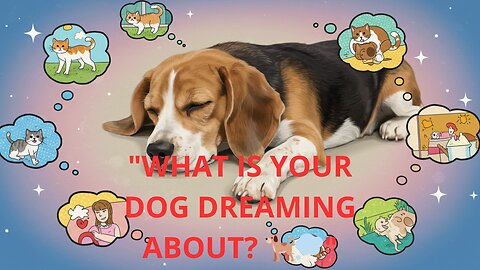Decoding Dogs’ Dreams: A New Perspective