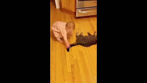 funny 2