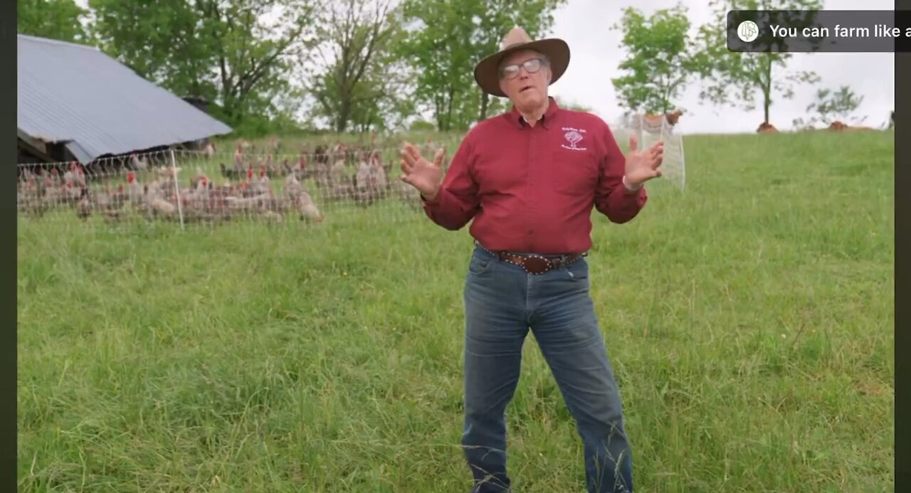 Farmer Joel Salatin on bird flu immunity: