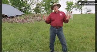 Farmer Joel Salatin on bird flu immunity: