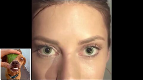 A little bit of everything series (episode 4: Interesting stuff)