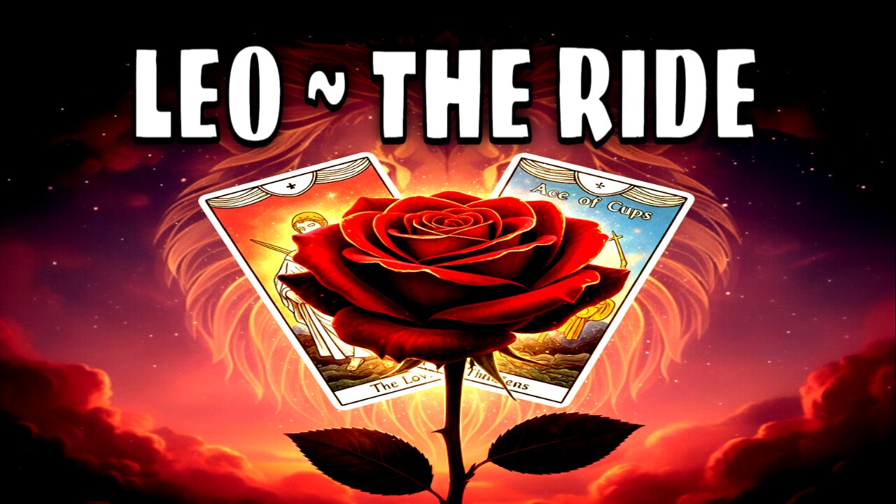 Leo Tarot: From SEED to Masterpieces! 😯 The Never-Ending Stream!