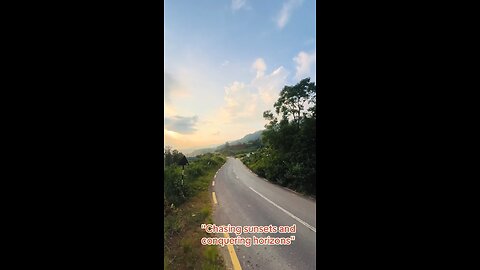 Throttle Therapy