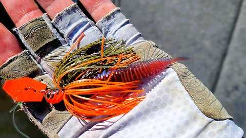 Why Your Mini Chatterbait Isn't Catching Bass (Easy Fix)