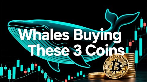 Whales Are Buying These 3 Crypto Coins RIGHT NOW