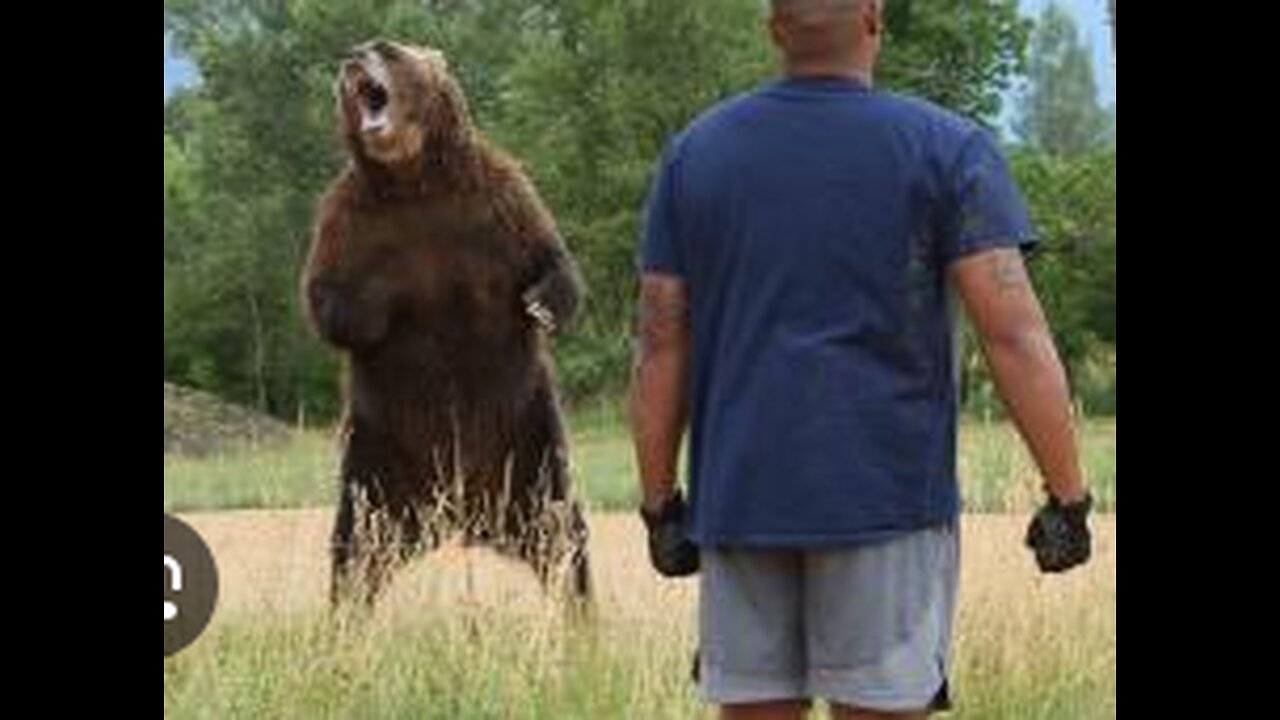 Miresia e Ariut dhe mosmirnjohja e njeriut - Anektode