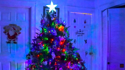 Happy Thanksgiving & Merry Christmas 2025 🦃🍗🎄🎁2️⃣0️⃣2️⃣5️⃣