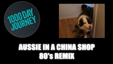 1000 Day Journey 0872 Aussie in a China Shop 80's Remix