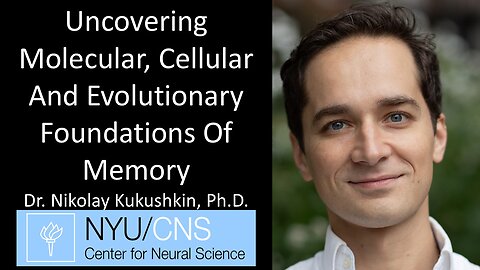 Dr. Nikolay Kukushkin, Ph.D - Center for Neural Science, NYU - Uncovering The Foundations Of Memory