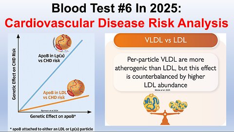 Reducing Cardiovascular Disease Risk: Going Beyond ApoB