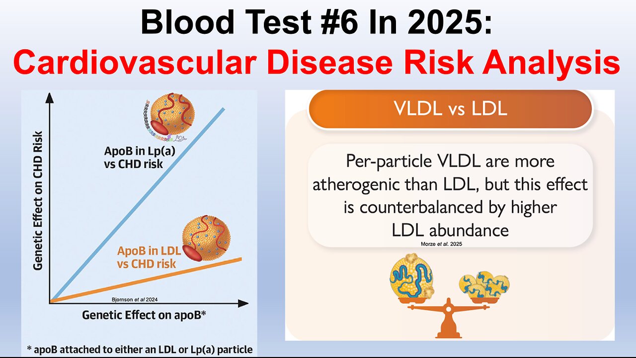 Reducing Cardiovascular Disease Risk: Going Beyond ApoB