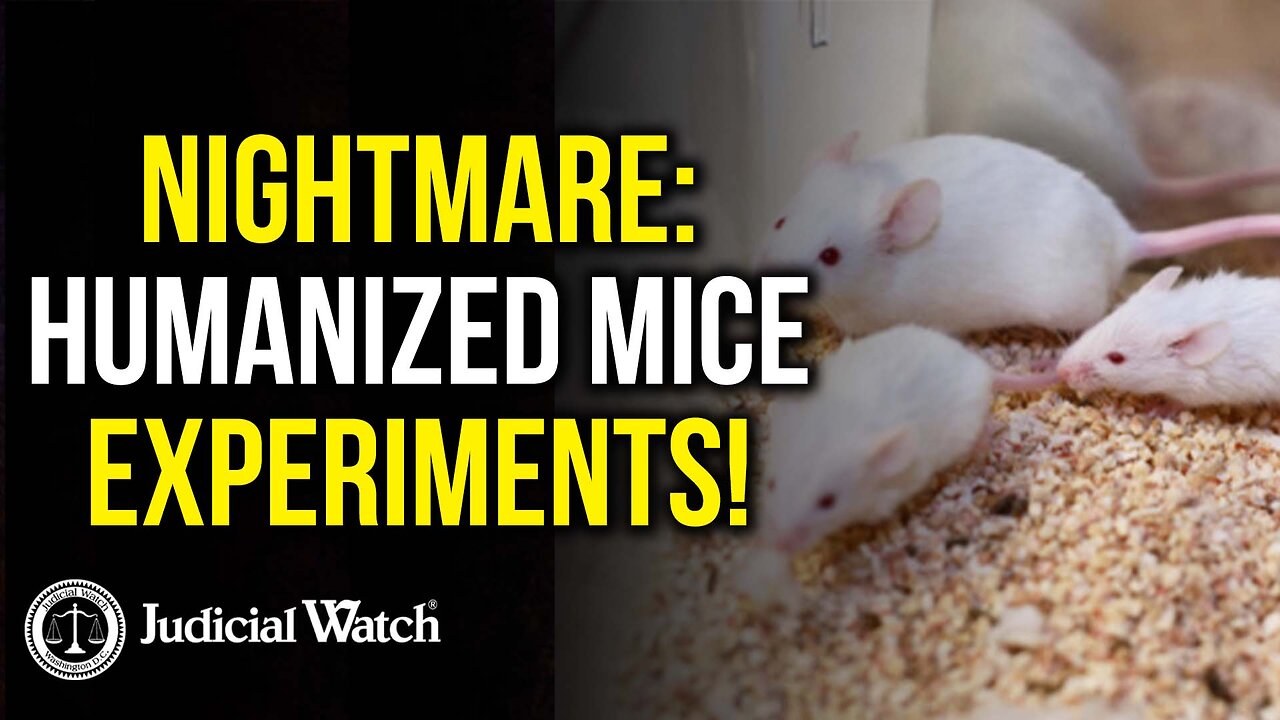 HORROR: Unborn Baby Body Parts Experiments