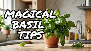 Magical Tips for Growing Perfect Basil