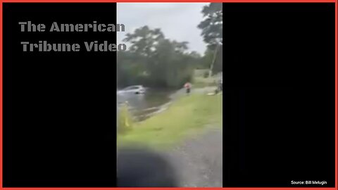 Protester’s Car Slides Into Lake after She Forgets to Put It in Park While Yelling at ICE Agents