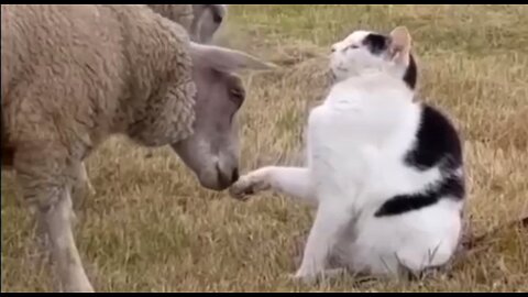 WHEN GOD CLOSES A DOOR - DAILY DEVOTIONAL ❤️