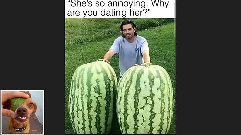 Memes That Will 99.0474% Make You Laugh. (e698)