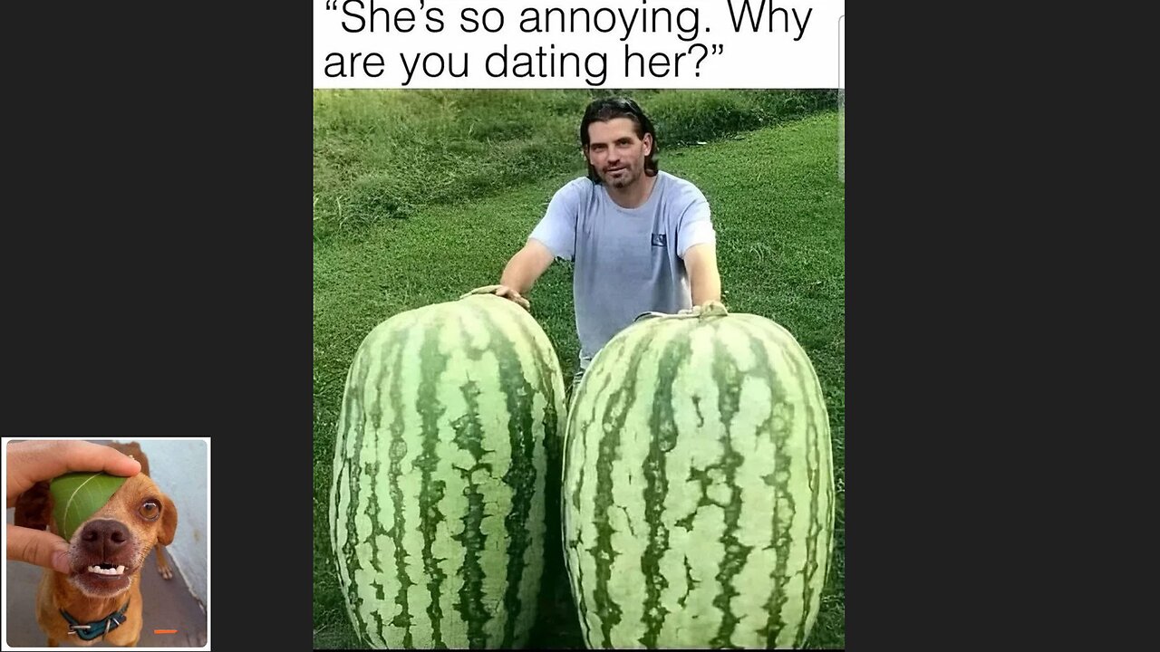 Memes That Will 99.0474% Make You Laugh. (e698)