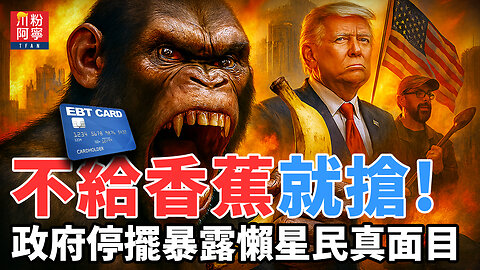 不給香蕉就搶！政府停擺暴露懶星民真面目 | 川粉阿寧(10/23/2025)