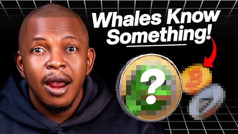 Top Coins Whales Are Buying NOW!