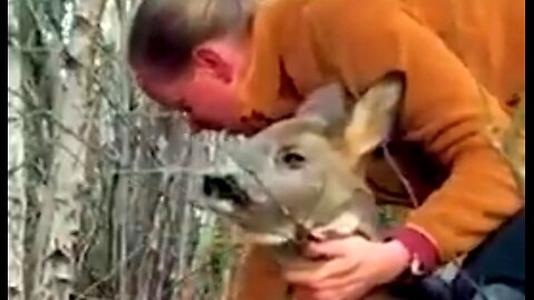 WE ARE THE CARETAKERS OF GODS CREATION 🦌