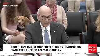 BREAKING NEWS: 'Taxpayer-Funded Animal Cruelty' Probed In Oversight Cmte Hearing Led By Nancy Mace