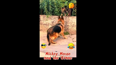 Mickey Mouse and the Crane