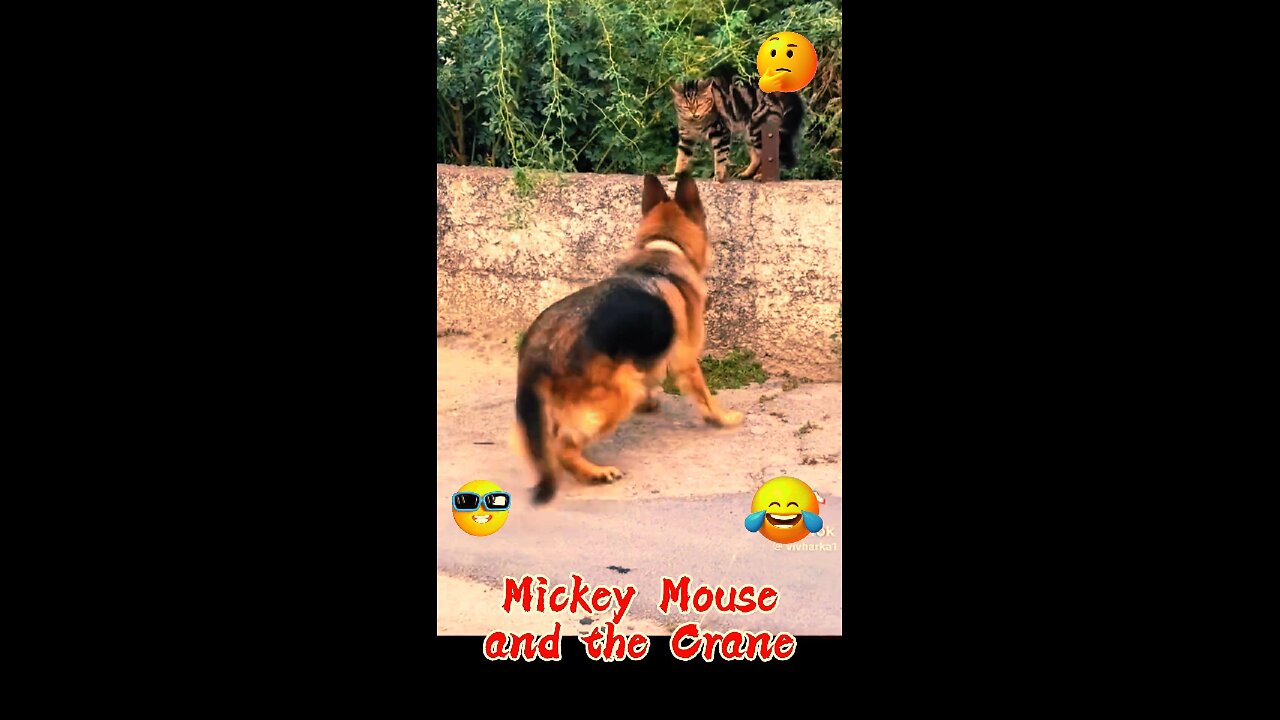 Mickey Mouse and the Crane