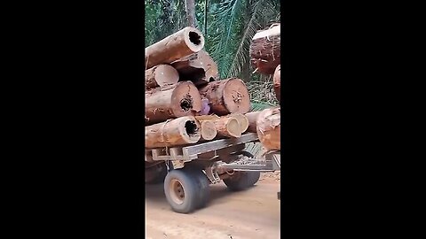 Truck in the Jungle, An Impressive Endurance Test!