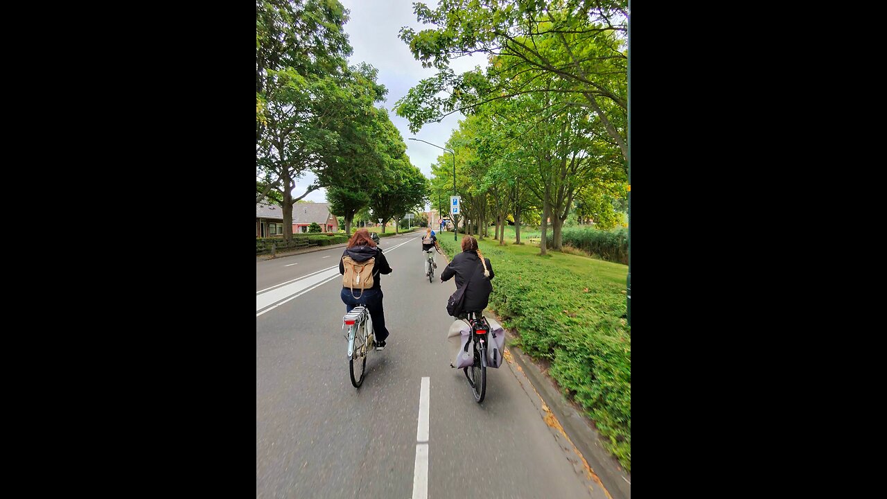Biking in The Netherlands