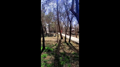 Exploring the Serene Gardens of University of Balochistan| Nature Walk #TravelwithIbrar