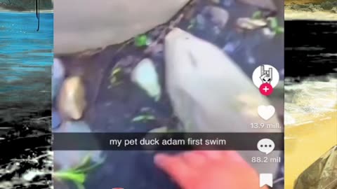 Just shorts videos - Follow 😜😋!!!!!!!