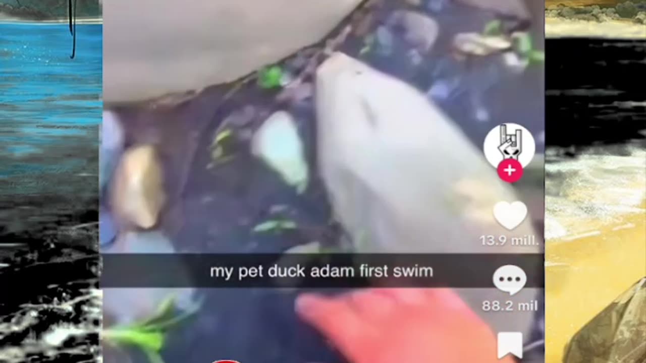 Just shorts videos - Follow 😜😋!!!!!!!