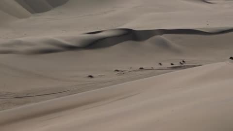 ¿Cuál es el desierto más caluroso del Mundo?