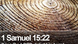 Prayer to Obey #youtubeshorts #grace #jesus #mercy #faith #fyp #trust #bless #love #God #help #obey