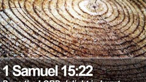 Prayer to Obey #youtubeshorts #grace #jesus #mercy #faith #fyp #trust #bless #love #God #help #obey