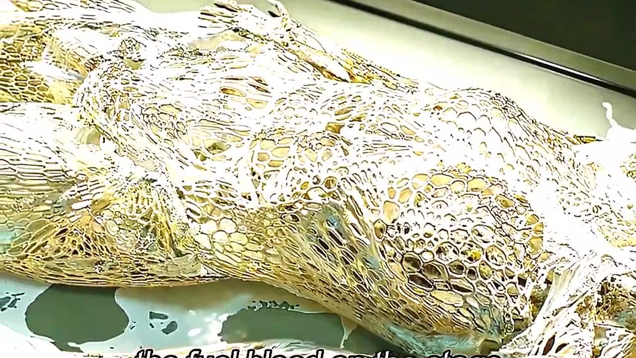 A man possesses a set bone from 50,000 years ago!