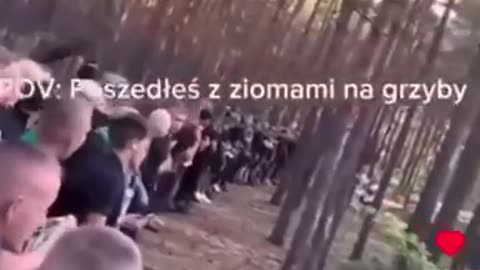 🇵🇱 polish warriors waiting for a delivery of illegal immigrants being bussed in by German police 👮