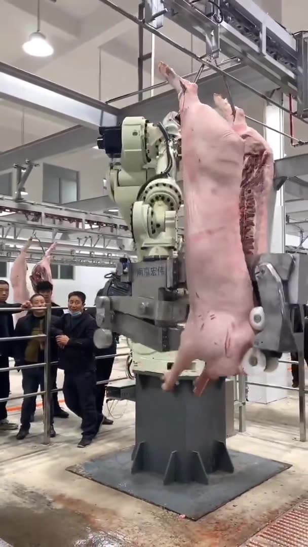 Factory farming is a moral crime against God’s creation & a disgusting ...