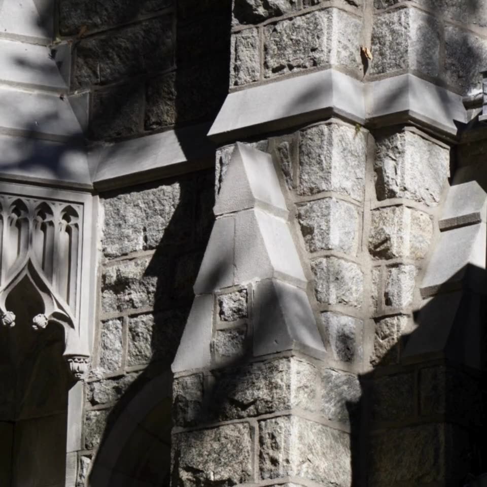 VOTE FOR ME IN FOH! BONUS I READ MY FLASH FICTION VAMPIRE NOVELLA INSPIRED BY CARMILLA, CHARISSE!