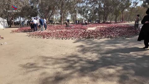 Nova music festival - Re'im Grove - Memorial Site