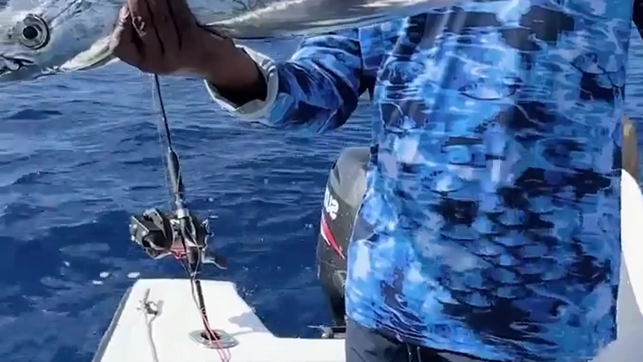 🐟🌊 Catch the Breathtaking Moment When a Fisherman Catches a Transparent Fish | FeedMyCuriosity